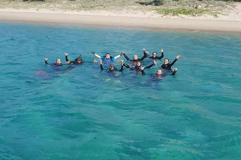 Gold Coast Try-Scuba Experience At Wave Break Island - Accommodation VIC 7