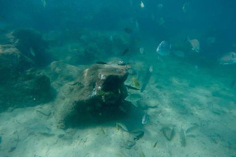 Gold Coast Try-Scuba Experience At Wave Break Island - Accommodation VIC 5
