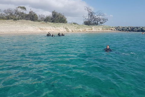 Gold Coast Try-Scuba Experience At Wave Break Island - Accommodation VIC 16