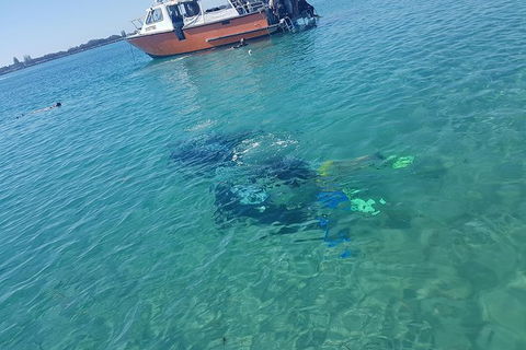 Gold Coast Try-Scuba Experience At Wave Break Island - Accommodation VIC 15