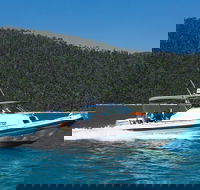 Private Standard Charter Experience in Whitsundays - Accommodation VIC