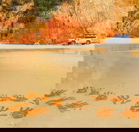 Great Beach Drive 4WD Day Tour Between Noosa and Rainbow Beach - Accommodation VIC