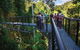 The Best Of Tamborine Mountain From The Gold Coast - thumb 2
