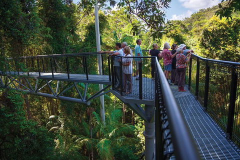 The Best Of Tamborine Mountain From The Gold Coast - Accommodation VIC 2