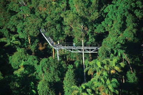 The Best Of Tamborine Mountain From The Gold Coast - Accommodation VIC 3