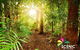 The Best Of Tamborine Mountain From The Gold Coast - thumb 1