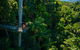 The Best Of Tamborine Mountain From The Gold Coast - thumb 0