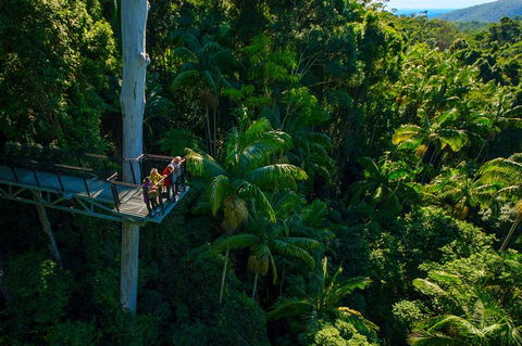 The Best Of Tamborine Mountain From The Gold Coast - Accommodation VIC 0