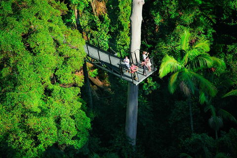 The Best Of Tamborine Mountain From The Gold Coast - Accommodation VIC 4
