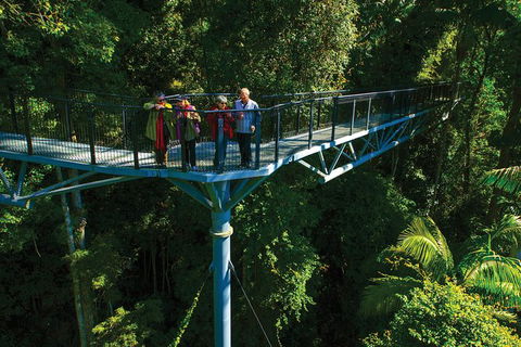 The Best Of Tamborine Mountain From The Gold Coast - Accommodation VIC 7