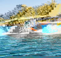 Gold Coast Quack'rDuck Amphibious Tour from Surfers Paradise - Accommodation VIC