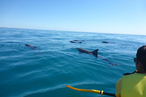 Private Double Island Rainbow Beach Day Trip From Noosa - Accommodation VIC 1