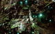 Glow Worm Evening Eco-Adventure From The Gold Coast - thumb 1
