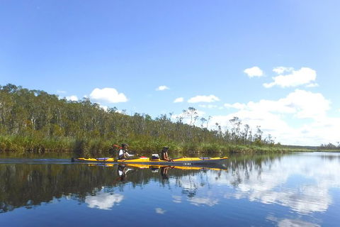 Full-Day Guided Noosa Everglades Kayak Tour - Accommodation VIC 1