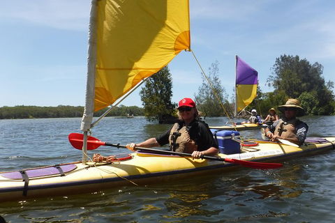Full-Day Guided Noosa Everglades Kayak Tour - Accommodation VIC 0