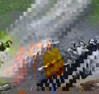 Small Group Tour Max 6 Gold Coast Super 7 Waterfalls Tour Springbrook - Accommodation VIC
