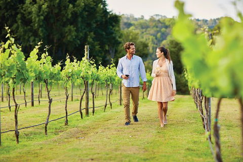 Sunshine Coast Private Scenic Guided Tour Inc. 2-Course Gourmet Lunch - Accommodation VIC 10