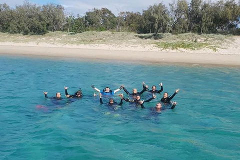 Guided Snorkel With Fish Tour At Wavebreak Island, Gold Coast - Accommodation VIC 4