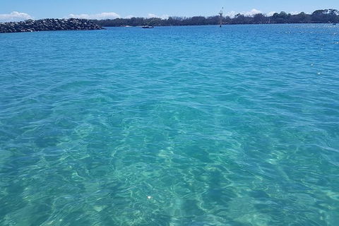 Guided Snorkel With Fish Tour At Wavebreak Island, Gold Coast - Accommodation VIC 2