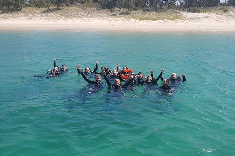 Guided Snorkel With Fish Tour At Wavebreak Island, Gold Coast - Accommodation VIC 12