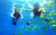 Guided Snorkel With Fish Tour At Wavebreak Island, Gold Coast - thumb 0
