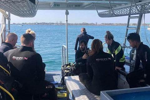 Guided Snorkel With Fish Tour At Wavebreak Island, Gold Coast - Accommodation VIC 7