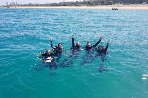 Guided Snorkel With Fish Tour At Wavebreak Island, Gold Coast - Accommodation VIC 5