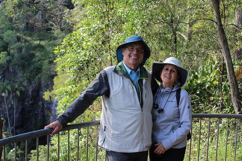 The Gold Experience:Private Day Tour In Lamington National Park Or Mt Tambourine - Accommodation VIC 1