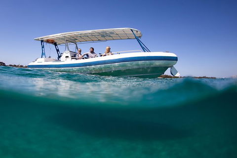 Private Whale Watching - Accommodation VIC 1