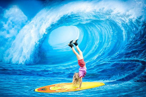 ArtVo Gold Coast - Queensland\'s First \'trick Art\' Gallery - Accommodation VIC 0