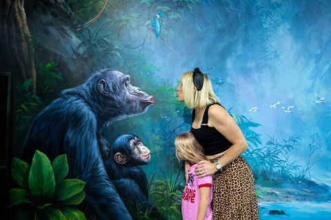 ArtVo Gold Coast - Queensland\'s First \'trick Art\' Gallery - Accommodation VIC 5