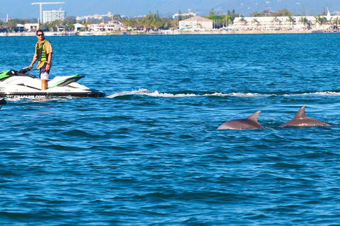 1hr Jet Ski Safari - Accommodation VIC 4