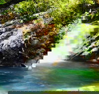 Wooroonooran National Park Rainforest and Wildlife Day Trip from Cairns - Accommodation VIC