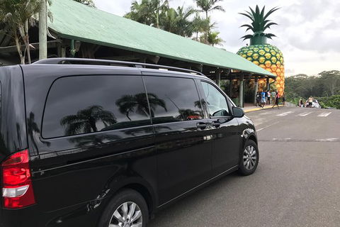 Private Transfer From Noosa To Sunshine Coast Airport For 1 To 7 People - Accommodation VIC 5
