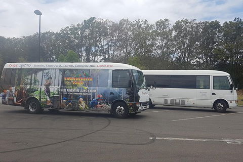 Gold Coast Airport Shared Arrival Shuttle Service With Wheelchair Access - Accommodation VIC 0