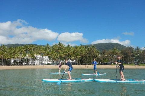Sunrise Paddleboarding Group Lesson At Palm Cove Beach - Accommodation VIC 3