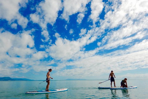 Sunrise Paddleboarding Group Lesson At Palm Cove Beach - Accommodation VIC 1