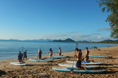 Sunrise Paddleboarding Group Lesson At Palm Cove Beach - Accommodation VIC 8