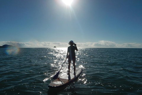 Sunrise Paddleboarding Group Lesson At Palm Cove Beach - Accommodation VIC 5
