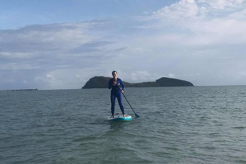Sunrise Paddleboarding Group Lesson At Palm Cove Beach - Accommodation VIC 7