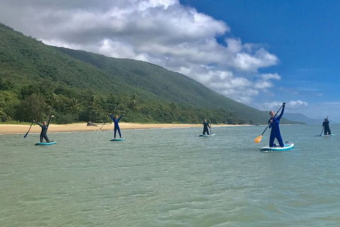 Sunrise Paddleboarding Group Lesson At Palm Cove Beach - Accommodation VIC 14