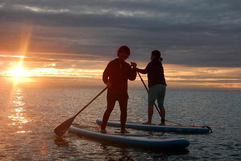 Sunrise Paddleboarding Group Lesson At Palm Cove Beach - Accommodation VIC 15