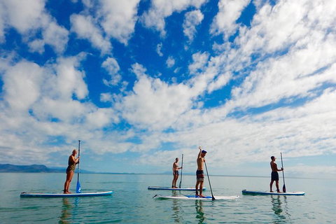 Sunrise Paddleboarding Group Lesson At Palm Cove Beach - Accommodation VIC 18