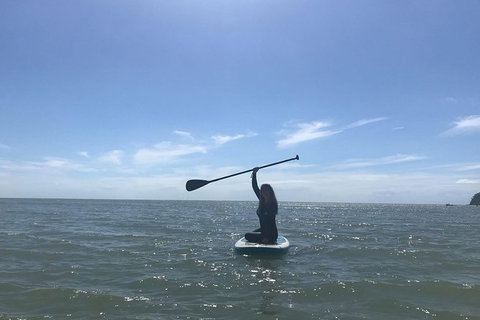 Sunrise Paddleboarding Group Lesson At Palm Cove Beach - Accommodation VIC 9