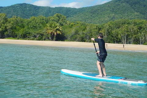 Sunrise Paddleboarding Group Lesson At Palm Cove Beach - Accommodation VIC 4