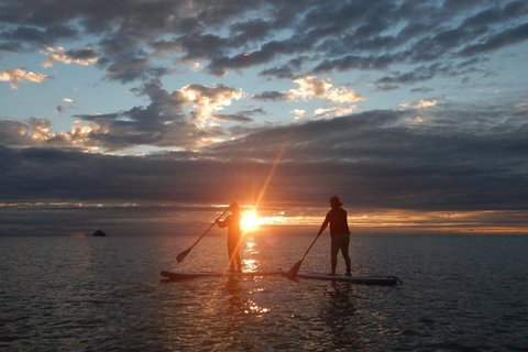 Sunrise Paddleboarding Group Lesson At Palm Cove Beach - Accommodation VIC 10