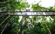 Daintree Discovery Centre Family Pass Ticket - thumb 3