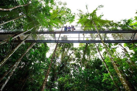 Daintree Discovery Centre Family Pass Ticket - Accommodation VIC 3