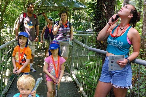 Daintree Discovery Centre Family Pass Ticket - Accommodation VIC 0