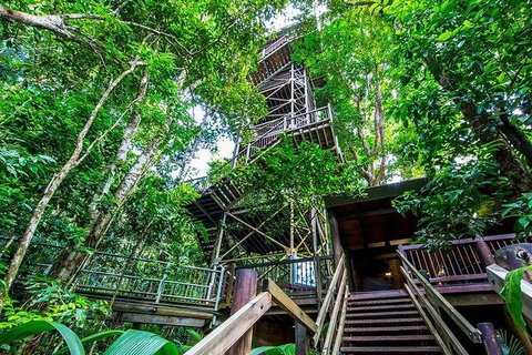 Daintree Discovery Centre Family Pass Ticket - Accommodation VIC 4